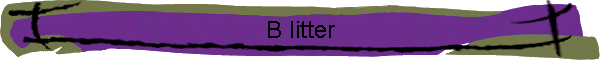 B litter