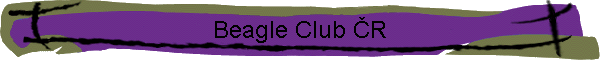 Beagle Club R